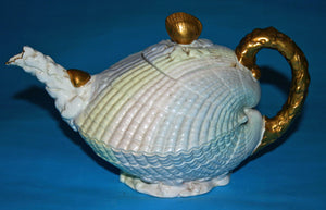 Brownfield sea shell